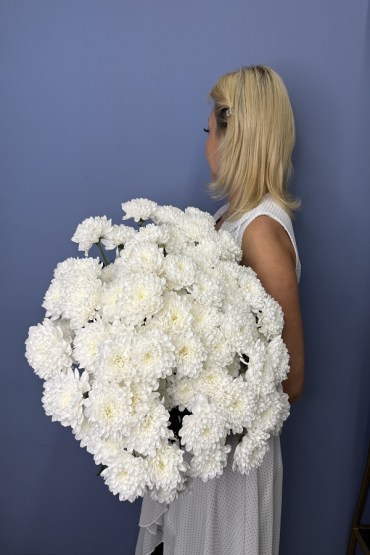 Хризантема кустовая Алтай 1 шт. фото