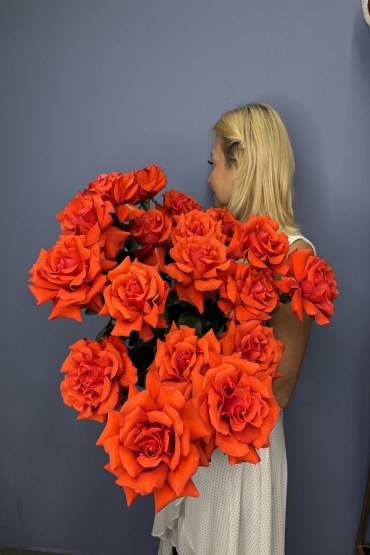 Французская Роза Нина 1 шт. фото